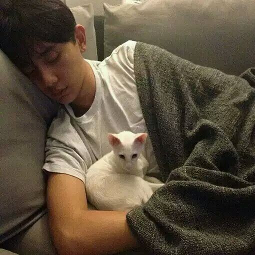 ʲô�ǳ���ȩ�������̿�����������ӵ������أ�